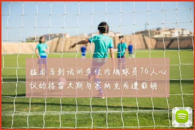 猛龙马刺试训多位内线球员76人心仪的格雷夫斯与塞纳克或遭截胡